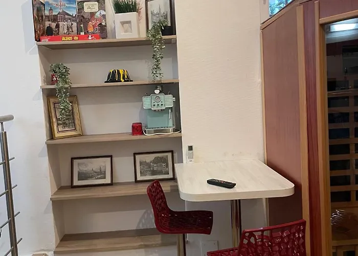 Avec Sauna Secteur Centre Privat bolig *